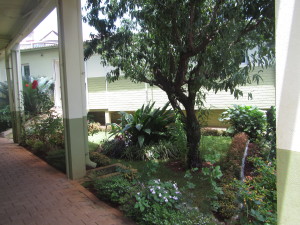 een stukje tuin tussen de gebouwen van het ziekenhuis
