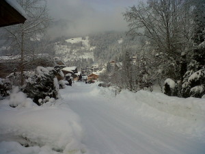 IMG00535-20130209-0905